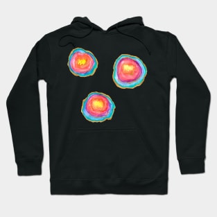 Rainbow geodes with gold Hoodie